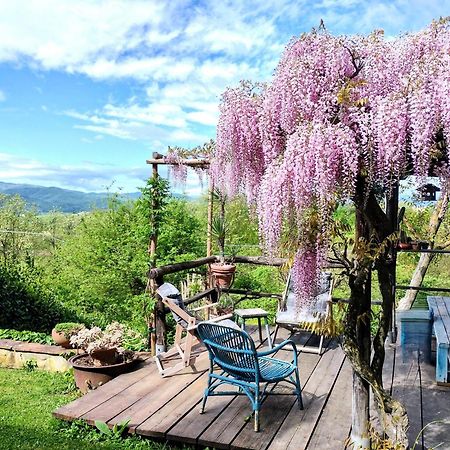 Tuscan Hills - Stonehouse, Garden & Pool Vicchio Exterior foto