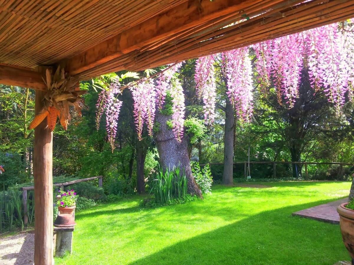 Tuscan Hills - Stonehouse, Garden & Pool Vicchio Exterior foto