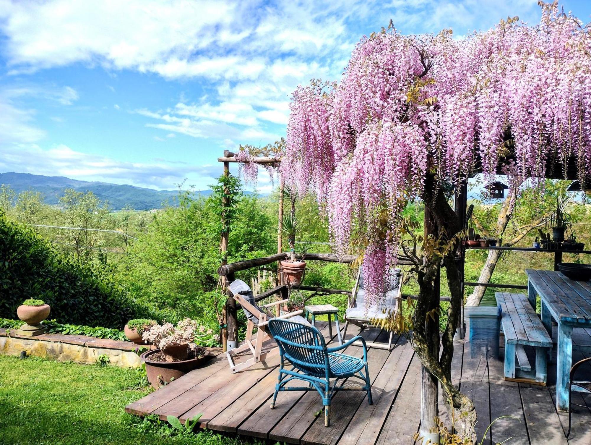 Tuscan Hills - Stonehouse, Garden & Pool Vicchio Exterior foto