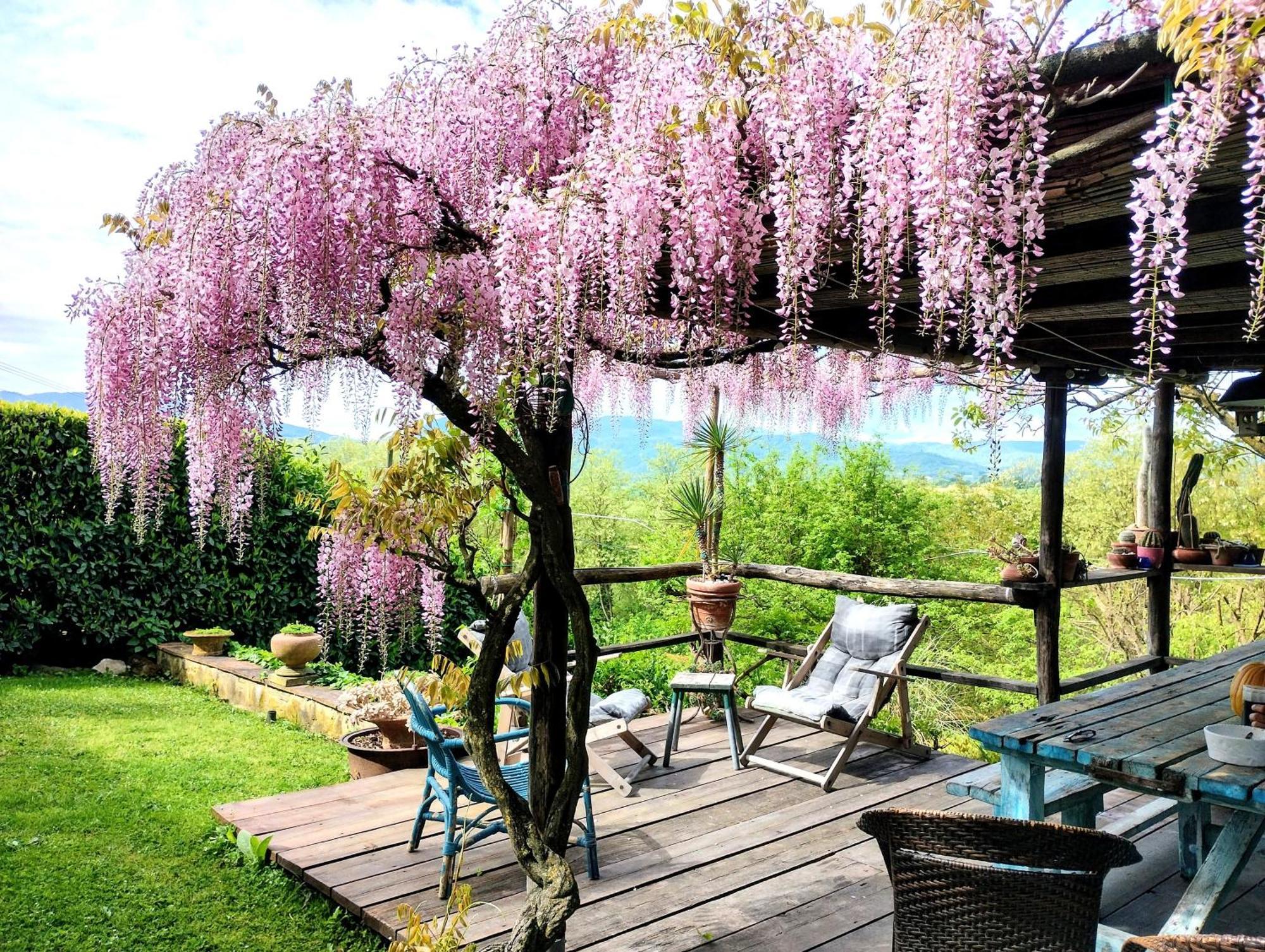 Tuscan Hills - Stonehouse, Garden & Pool Vicchio Exterior foto